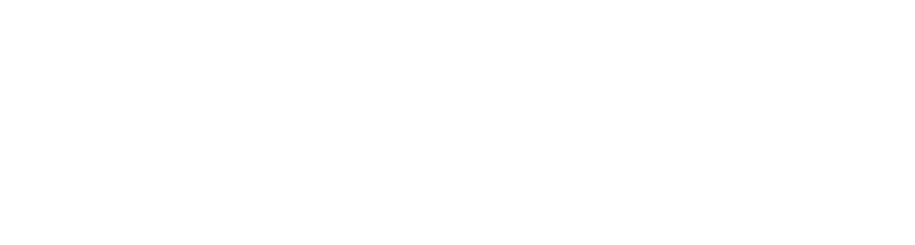 DukeSoft Logo